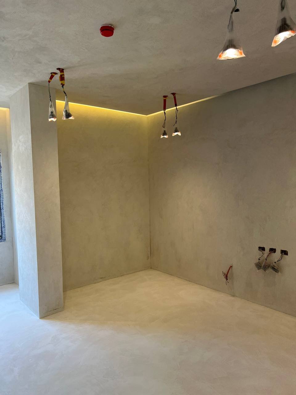 photo_5981249831429065043_y